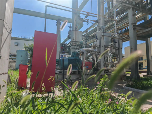 20250728541504.jpg 640.jpg