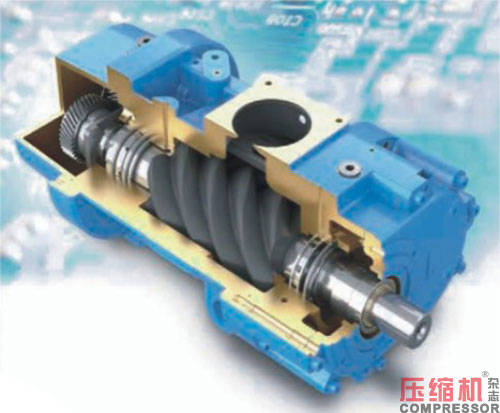 20250807325136.jpg 19.JPG